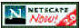 Netscape Now! (3D)