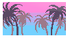 Palm trees